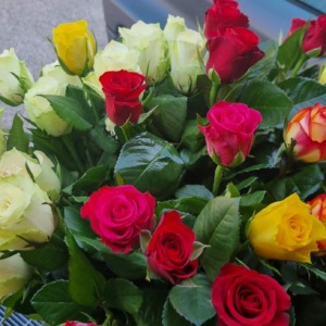 Romantiche Rose Extra di vari colori