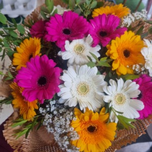 bouquet gerbere miste o a tinta unita