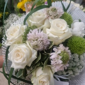 rose con santino verde