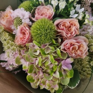 rose e ortensia e bovardia