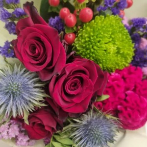 rose rosse gelosia eringium statice